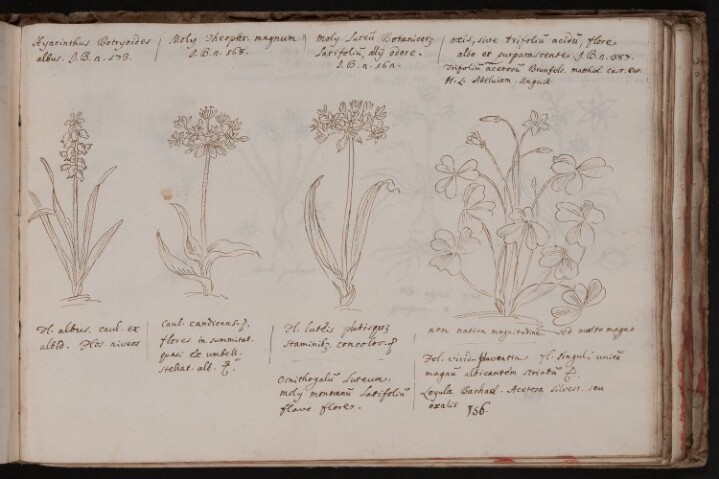 Anteprima dell'oggetto