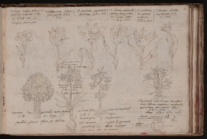 Anteprima dell'oggetto