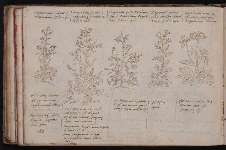 Anteprima dell'oggetto