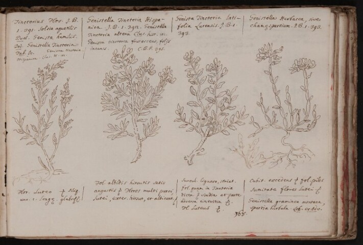 Anteprima dell'oggetto