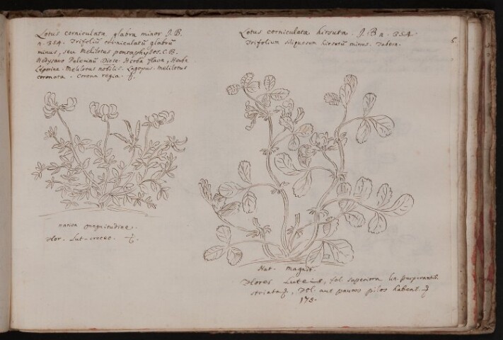 Anteprima dell'oggetto