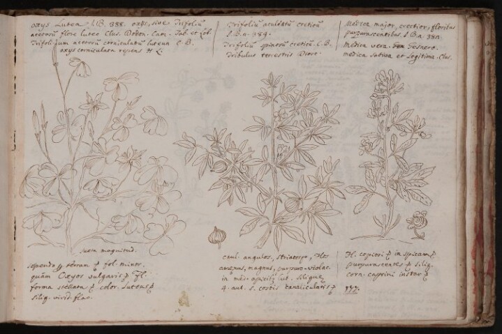 Anteprima dell'oggetto