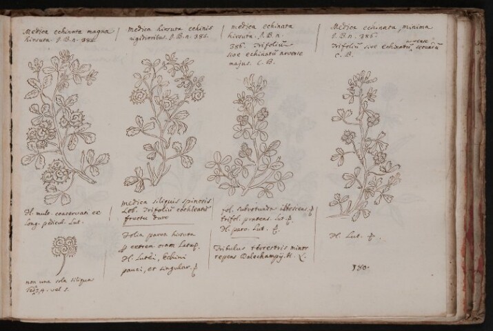 Anteprima dell'oggetto