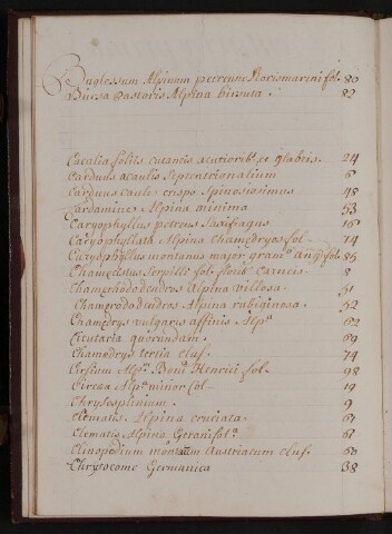 Anteprima dell'oggetto