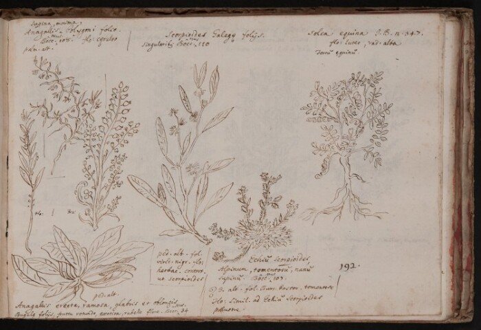 Anteprima dell'oggetto