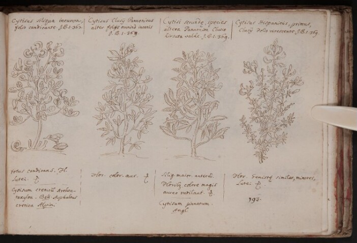 Anteprima dell'oggetto