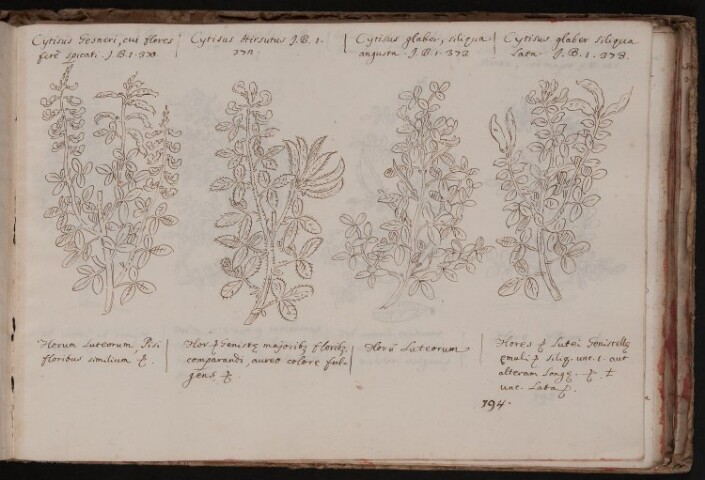 Anteprima dell'oggetto