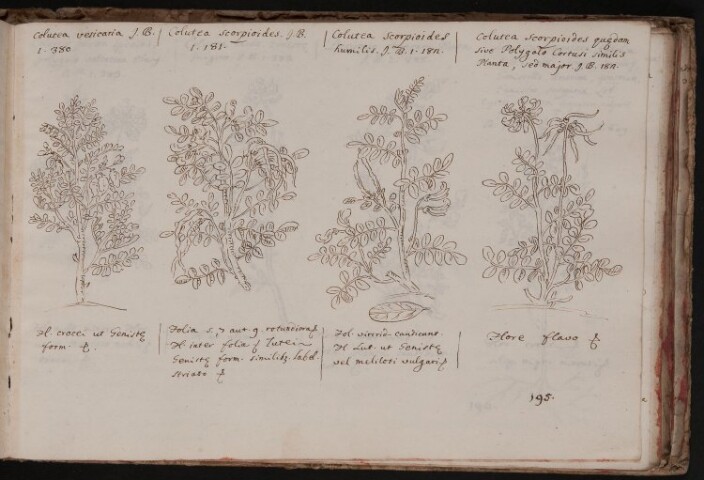 Anteprima dell'oggetto