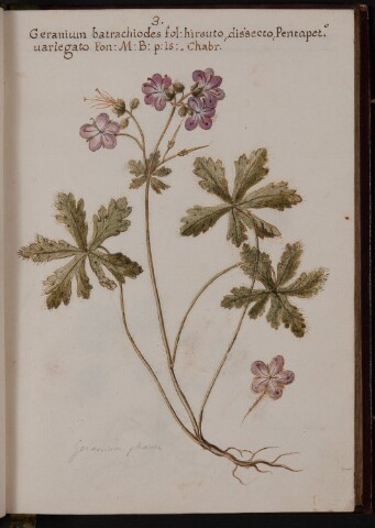 Anteprima dell'oggetto