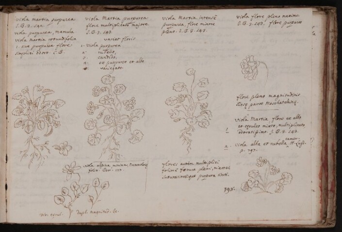 Anteprima dell'oggetto