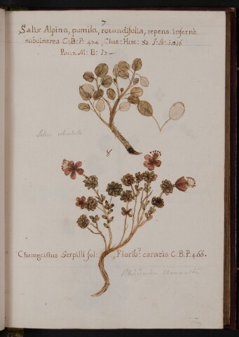 Anteprima dell'oggetto