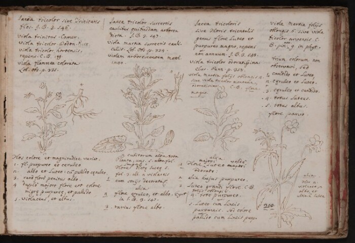 Anteprima dell'oggetto