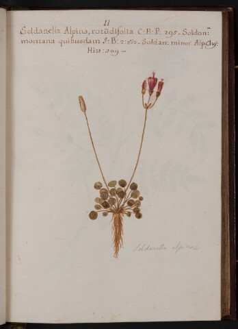 Anteprima dell'oggetto