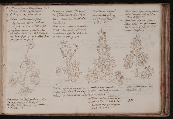 Anteprima dell'oggetto