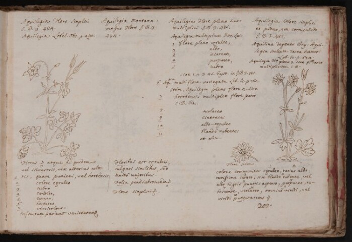 Anteprima dell'oggetto