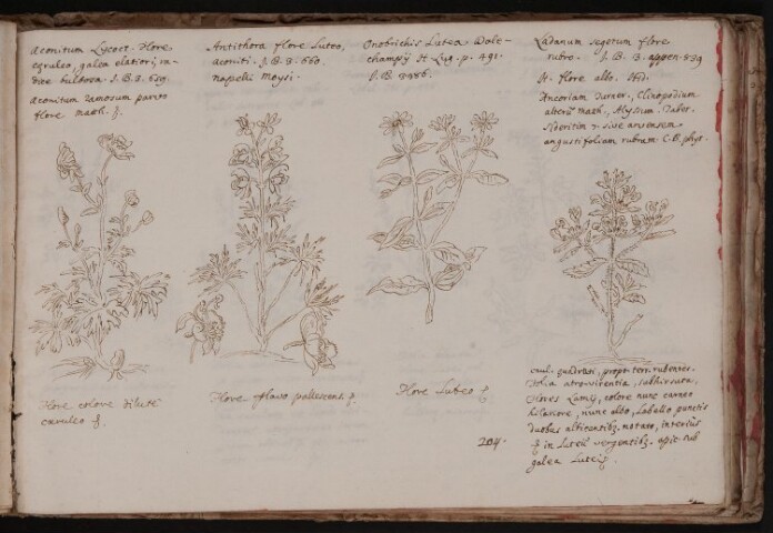 Anteprima dell'oggetto