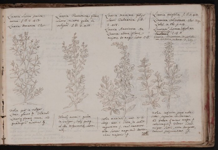 Anteprima dell'oggetto