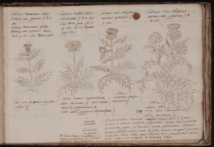 Anteprima dell'oggetto