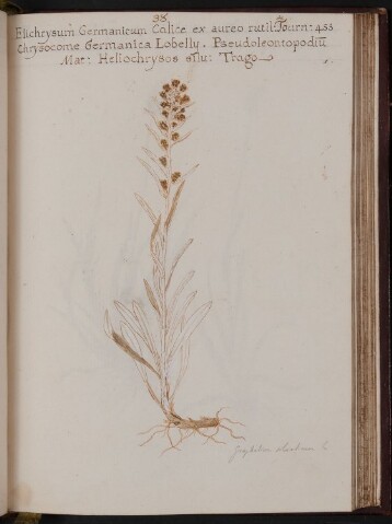 Anteprima dell'oggetto