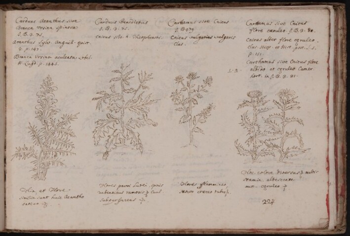 Anteprima dell'oggetto