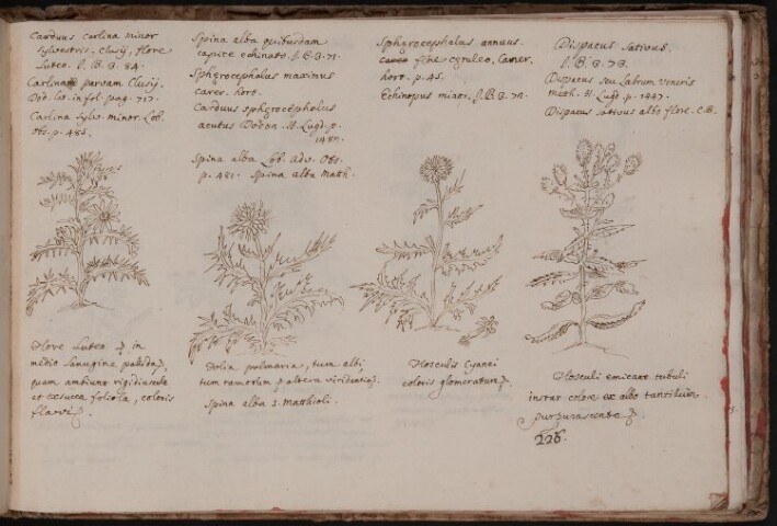 Anteprima dell'oggetto