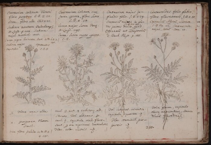 Anteprima dell'oggetto