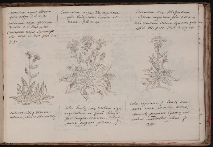 Anteprima dell'oggetto