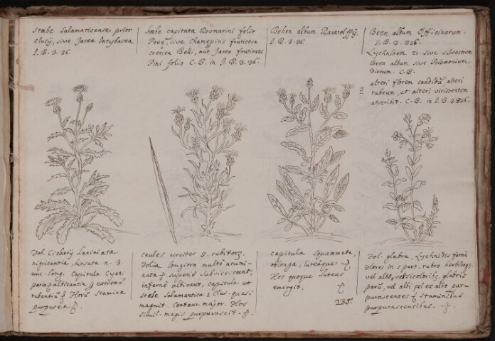 Anteprima dell'oggetto