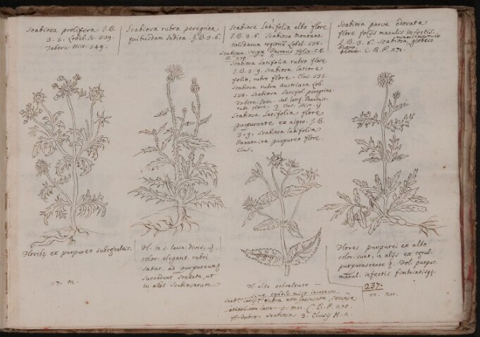 Anteprima dell'oggetto