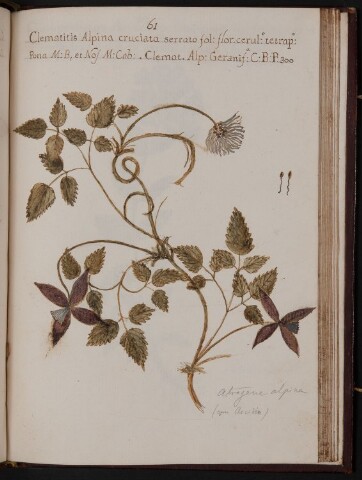 Anteprima dell'oggetto