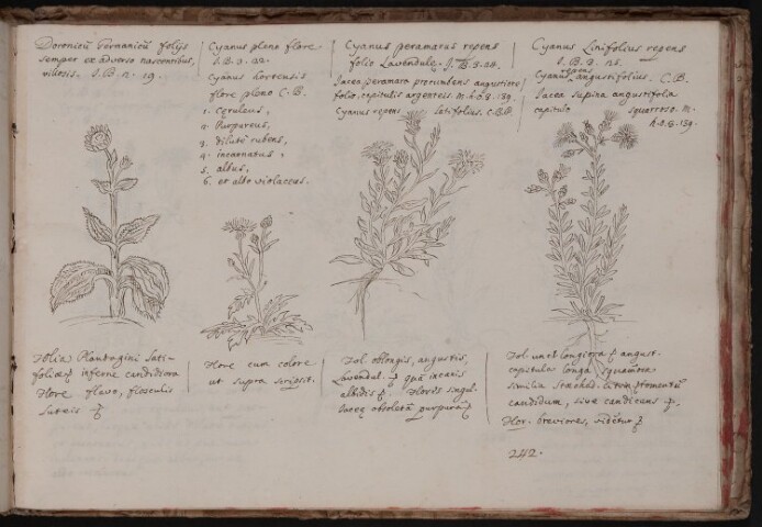 Anteprima dell'oggetto