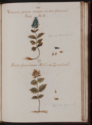 Anteprima dell'oggetto