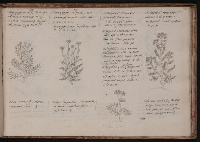 Anteprima dell'oggetto