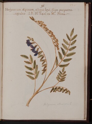 Anteprima dell'oggetto