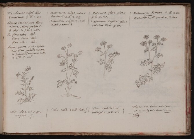 Anteprima dell'oggetto