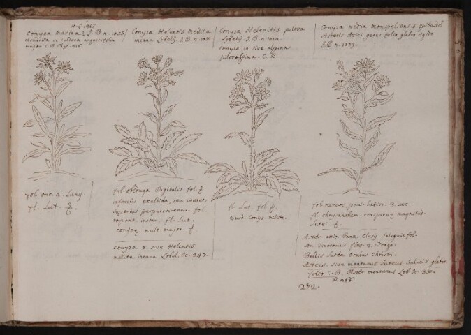 Anteprima dell'oggetto