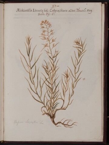 Anteprima dell'oggetto