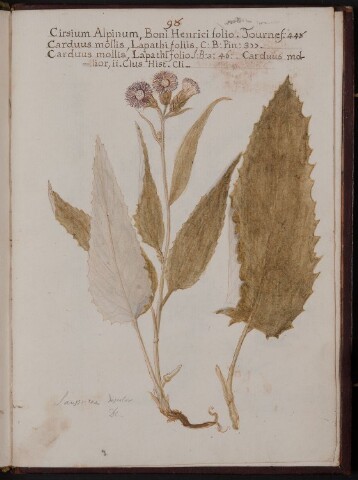 Anteprima dell'oggetto