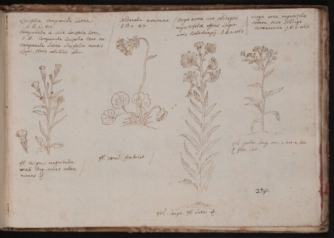 Anteprima dell'oggetto