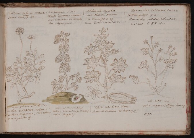 Anteprima dell'oggetto