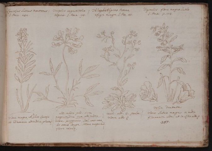 Anteprima dell'oggetto