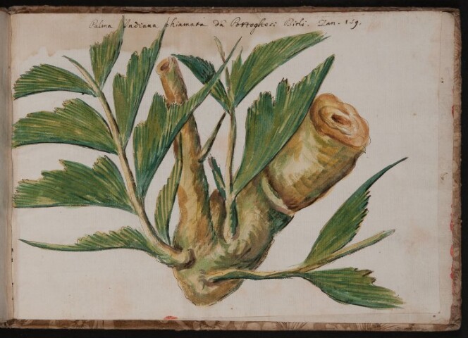 Anteprima dell'oggetto