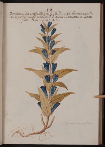 Anteprima dell'oggetto