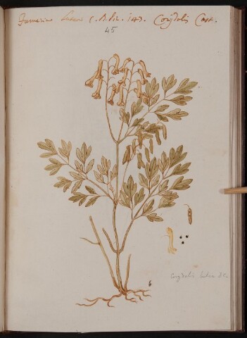 Anteprima dell'oggetto