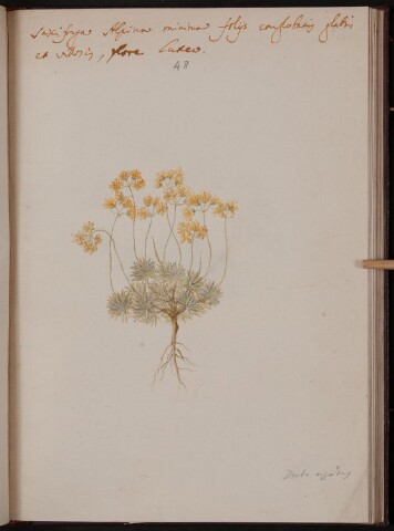 Anteprima dell'oggetto