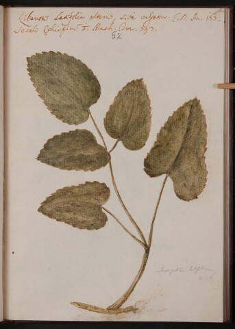 Anteprima dell'oggetto