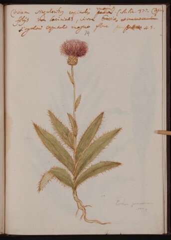 Anteprima dell'oggetto