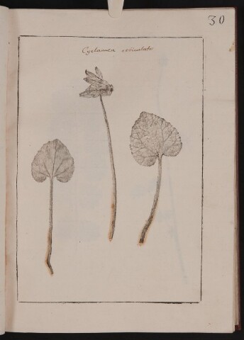 Anteprima dell'oggetto