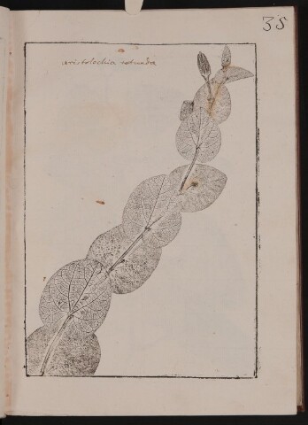 Anteprima dell'oggetto