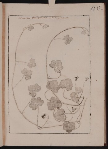 Anteprima dell'oggetto